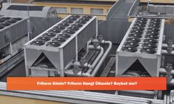 Friterm Kimin? Friterm Hangi Ülkenin? Boykot mu?
