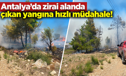 Antalya’da zirai alanda çıkan yangına hızlı müdahale!