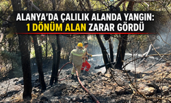 Alanya'da çalılık alanda yangın: 1 dönüm alan zarar gördü