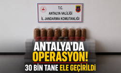 Antalya'da operasyon! 30 bin tane ele geçirildi