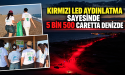 Kırmızı LED aydınlatma sayesinde 5 bin 500 caretta denizde