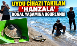Uydu cihazı takılan Hanzala doğal yaşamına uğurlandı
