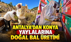 Antalya'dan Konya yaylalarına doğal bal üretimi