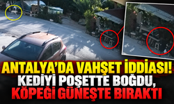 Antalya'da vahşet iddiası! Kediyi poşette boğdu, köpeği güneşte bıraktı