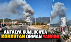 Antalya Kumluca'da korkutan orman yangını