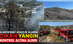 Alanya'daki ağaçlık alanda çıkan yangın kontrol altına alındı