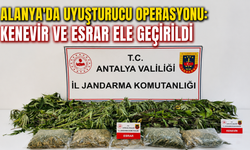 Alanya'da uyuşturucu operasyonu: Kenevir ve esrar ele geçirildi