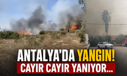 Antalya'da yangın! Cayır cayır yanıyor...