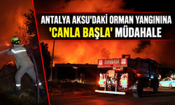 Antalya Aksu'daki orman yangınına 'canla başla' müdahale