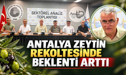 Antalya zeytin rekoltesinde beklenti arttı