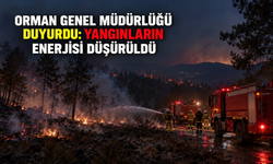 Orman Genel Müdürlüğü duyurdu: Yangınların enerjisi düşürüldü