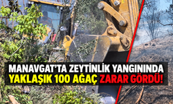 Manavgat'ta zeytinlik yangınında yaklaşık 100 ağaç zarar gördü!