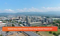 Akdeniz Kimya Kimin? Akdeniz Kimya Hangi Ülkenin? Boykot mu?