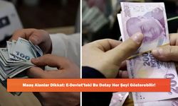 Maaş Alanlar Dikkat: E-Devlet’teki Bu Detay Her Şeyi Gösterebilir!