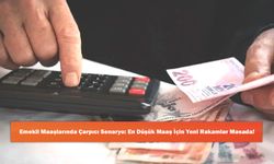 Emekli Maaşlarında Çarpıcı Senaryo: En Düşük Maaş İçin Yeni Rakamlar Masada!