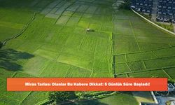 Miras Tarlası Olanlar Bu Habere Dikkat: 5 Günlük Süre Başladı!