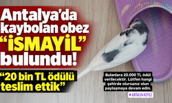 Antalya'da kaybolan obez "İsmayil" bulundu! "20 bin TL ödülü teslim ettik"
