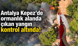 Antalya Kepez'de ormanlık alanda çıkan yangın kontrol altında!