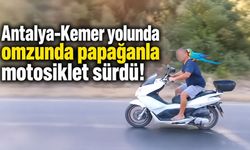 Antalya-Kemer yolunda omzunda papağanla motosiklet sürdü!