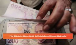 Prim Bildirimine Dikkat: Küçük Bir Eksiklik Emekli Maaşını Düşürebilir!