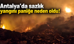 Antalya’da sazlık yangını paniğe neden oldu!