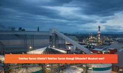 Tekfen Tarım Kimin? Tekfen Tarım Hangi Ülkenin? Boykot mu?
