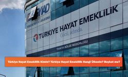 Türkiye Hayat Emeklilik Kimin? Türkiye Hayat Emeklilik Hangi Ülkenin? Boykot mu?