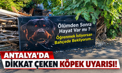 Antalya’da dikkat çeken köpek uyarısı: “Ölümden sonra hayat var mı?”