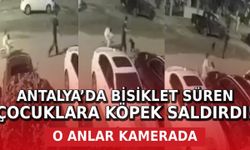 Antalya’da bisiklet süren çocuklara köpek saldırdı: O anlar kamerada