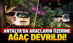 Antalya’da araçların üzerine ağaç devrildi!