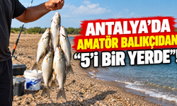 Antalya'da amatör balıkçıdan "5'i Bir Yerde"!