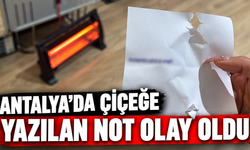 Antalya'da çiçeğe yazılan not olay oldu