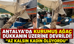 Antalya'da kurumuş ağaç dükkanın üzerine devrildi! "Az kalsın kadın ölüyordu"