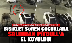 Antalya Hakkında gündeme getirmişti: Bisiklet süren çocuklara saldıran Pitbull'a el koyuldu!