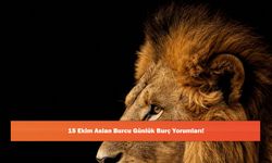 15 Ekim Aslan Burcu Günlük Burç Yorumları!