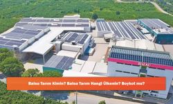 Balsu Tarım Kimin? Balsu Tarım Hangi Ülkenin? Boykot mu?