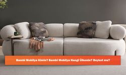 Bambi Mobilya Kimin? Bambi Mobilya Hangi Ülkenin? Boykot mu?