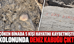 Çöken binada 5 kişi hayatını kaybetmişti! Kolonunda deniz kabuğu çıktı
