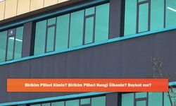 Birikim Pilleri Kimin? Birikim Pilleri Hangi Ülkenin? Boykot mu?