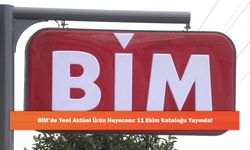 BİM’de Yeni Aktüel Ürün Heyecanı: 11 Ekim Kataloğu Yayında!