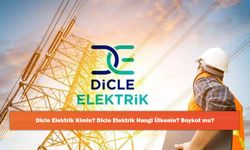 Dicle Elektrik Kimin? Dicle Elektrik Hangi Ülkenin? Boykot mu?