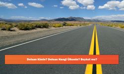 Delsan Kimin? Delsan Hangi Ülkenin? Boykot mu?