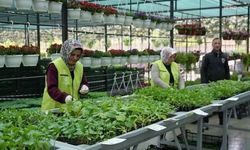 Antalya Demre’de Seralar ve Yapılarla Dolu Arazi İcradan Satılıyor! Bedeli 15,2 Milyon TL