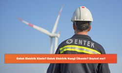Entek Elektrik Kimin? Entek Elektrik Hangi Ülkenin? Boykot mu?