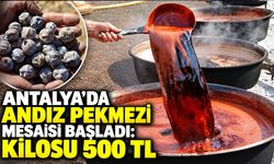 Antalya’da andız pekmezi mesaisi başladı: Kilosu 500 TL