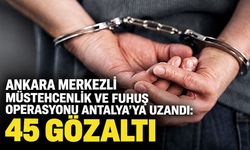 Antalya dahil 7 ilde müstehcenlik ve fuhuş operasyonu: 45 şüpheli gözaltında