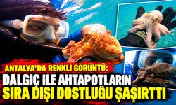 Antalya’da renkli görüntü: Dalgıç ile ahtapotların sıra dışı dostluğu şaşırttı