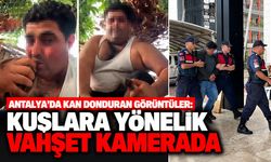 Antalya’da kan donduran görüntüler: Kuşlara yönelik vahşet kamerada