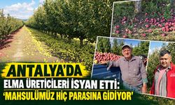 Antalya’da elma üreticileri isyan etti: "Mahsulümüz hiç parasına gidiyor”