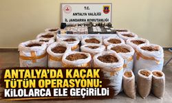 Antalya’da kaçak tütün operasyonu